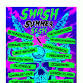 Smash Summer Sesh X event in Gisborne