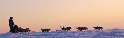Can seat up to two people or as a body board for one. Dog Sledding Holidays In Finland Lapland Husky Safari Travel Feature