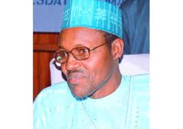 Beloved Nigeria, Of Hippopotamus Projects, And Lions That Eat Cabbage