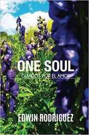 It is possible to use a chalkboard, fabric or glass, whether frosted or clear. Onesoul Guiados Por El Amor Escritos Llenos De Sabiduria Que Os Conduciran A Vuestra Paz Interior Spanish Edition Rodriguez Edwin 9781523644636 Amazon Com Books