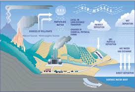 Heavy metals are a metallic elements which are toxic and have a high density, specific gravity, or atomic weight. Adsorption Of Heavy Metals In Water Treatment Equilibrium And Kinetics Studies Of Absorption Of Heavy Metals Using Low Cost Absorbent Page 2