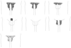 Prevalence and Motivation: Pubic Hair Grooming Among Men in the United  States - Thomas W. Gaither, Mohannad A. Awad, E. Charles Osterberg, Tami S.  Rowen, Alan W. Shindel, Benjamin N. Breyer, 2017