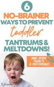 6 No Brainer Tips To Prevent Toddler Tantrums And Meltdowns Tantrums Toddler Temper Tantrums Toddler Toddler Meltdowns
