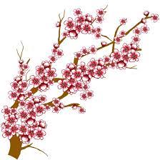 Cherry Blossom Tree Clip Art Clipart Panda Free Clipart Images Cherry Blossom Drawing Cherry Blossom Pictures Cherry Blossom