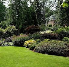 Hastings Backyard Flowers Garden Beautiful Gardens Garden Center