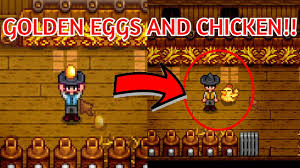 Requirement to get a golden chicken. How To Get Golden Eggs Stardew Valley New 1 5 Update Youtube