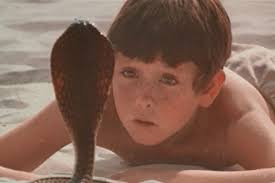 The Black Stallion (1979)