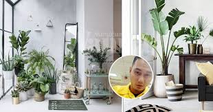 Video ini menerangkan tentang pokok rotala, spesis rotala, habitat asal dan juga cara penjagaan bagi pokok rotala. Ini Senarai Pokok Indoor Mudah Jaga Nak Biakkan Pun Senang Mingguan Wanita