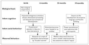 Cognitive And Social Factors In The Development Of Infants With Down Syndrome Cognitive Development Teaching Babies Social Development