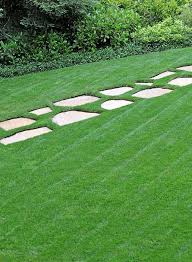 Can you put down too much grass seed. How To Overseed Or Reseed Your Lawn