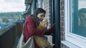 Cats film completo (2019) è disponibile, come sempre in repelis. Locarno Film Festival Locarno Film Festival