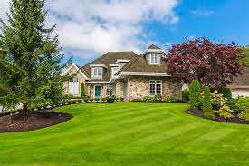 We did not find results for: 9 Different Types Of Yard Grass For The Perfect Lawn Home Stratosphere