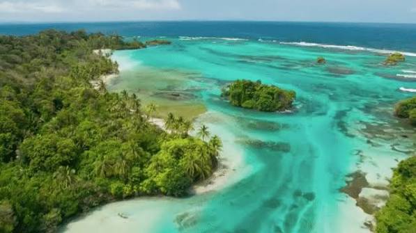 Planet Earth II Videos & Resources | ClickView