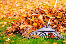 A Gardener’s Fall Checklist — Dodge County Master Gardener Association