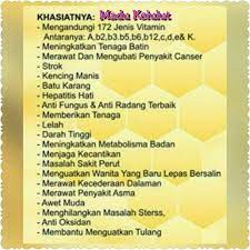 Khasiat dan kebaikan madu kelulut. Madu Kelulut Kelantan Added A New Madu Kelulut Kelantan