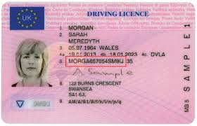 If you're making an advance reservation in the uk, ask the company concerned to confirm the driving licence requirements of the countries you're visiting. A Driving Licence For The Information Super Highway Coras It Blog