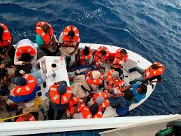 cruise ship rescues 24 people from