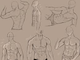 In this tutorial on drawing the torso then, we will do just that, we will first look at the overall. Lifelight On Twitter I M Trying To Study Upper Body Anatomy And Thought I D Share My Finds But Tbh My Fellow Webtoon Artists Are Better At Men S Anatomy Than Me Otl But I
