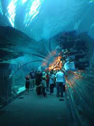 Dubai Underwater Zoo Dubai Aquarium Underwater Zoo The Dubai Mall A Photo On Dubai Aquarium Africa Travel Places To Go