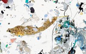 Microplastic Is Leading To Big Problems For Fish In The Ocean
