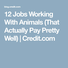 12 Jobs Working With Animals That Actually Pay Pretty Well Credit Com Work With Animals Job Work Jobs With Animals