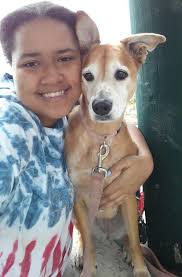 Inexpensive dog check up and heartworm pills