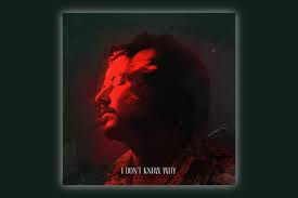 See more of avaion on facebook. Out Now Neue Single I Don T Know Why Von Avaion Happyspots