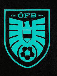 Puma Herren Fanshirt Osterreich Futbol Culture Tee Schwarz S