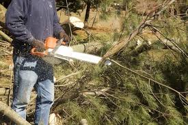 1408 sw 14th st, gresham, or 97080. Robles Tree Services Home Facebook