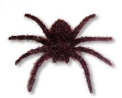 Haarige Minispinne Braun Kunststoff Spinne Als Scherzartikel Horror Shop Com Insekten Horror Grusel