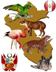 ANIMALES EN PELIGRO DE EXTINCION EN EL PERU