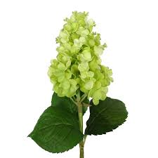 Rated 5 out of 5 stars. 33 Cone Hydrangea Flower Lime Green Hydrangea Flower High Quality Artificial Hydrangea Flower Buy Cone Hydrangea Flower Lime Green Hydrangea Flower High Quality Artificial Hydrangea Flower Product On Alibaba Com