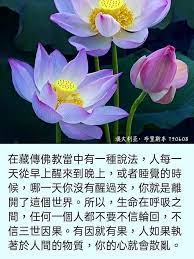 pin by 敏洳王on 知足常乐 buddha quotes wisdom quotes wisdom