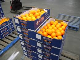A large variety is available, including common. Orange Varieties For Western Australia Agriculture And Food