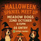 Halloween Spaniel meet up event image