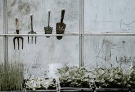 You can spray garlic spray, mineral oil, or salt spray on your plants to deter pests. How To Maintain Your Garden Tools And Equipment Cowell S Garden Centre Woolsington