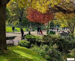 Le bois de boulogne est un immense parc comptant plus de 35 kilomètres de chemins, un véritable paradis pour les amants de la nature. Coronavirus Les Parcs Et Jardins Resteront Ouverts Pendant Le Reconfinement Sortiraparis Com