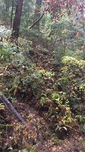 We did not find results for: Samuel P Taylor State Park Home Facebook