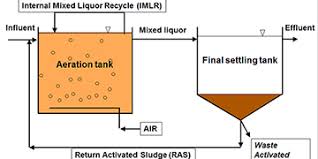 Activated Sludge Three Steps To Improve Your Process