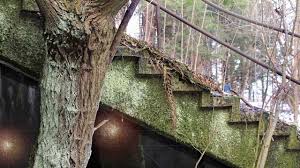 Magischer Ort Ruine Alpen Hallenbad Am Zauberberg Lost Places Aben Ruinen Orte Geheimnisvolle Orte