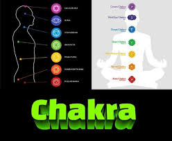 The Hidden Energetic Blueprint of the Human Body This intricate ...