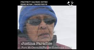 Protect Thacker Pass