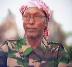 Hassan Abdullah Hersi al-Turki