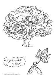 Cover your walls with artwork and trending designs from independent artists worldwide. Tree Colouring Pages