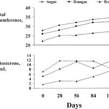 body weight and hip height measurements of developing angus