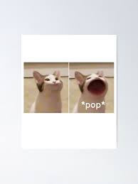 The images have been used to create videos in which the cat lip syncs various songs, similar to baby. Download Pop Cat Meme Png Idaho Hot News
