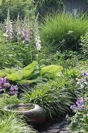 How To Make Can T Go Wrong Plant Combinations Video Gardening Plants Ideas Garden Design Landscape Design Plants