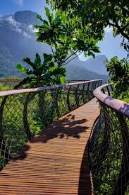 A Lofty Walkway Design Indaba South Africa Vacation Africa Vacation South Africa Travel