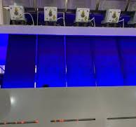 High Efficiency Rice Wheat Corn Color Sorter Machine - Color ...