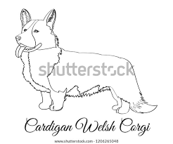 Cardigan Welsh Corgi Dog Coloring Image Vectorielle De Stock Libre De Droits 1206265048